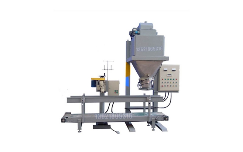 Case Packing Machine: Automated End-of-Line Case Packer for Bulk Product Logistics Packaging